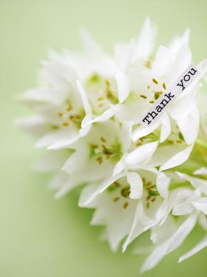 取付簡単なパーテーションで感染症対策