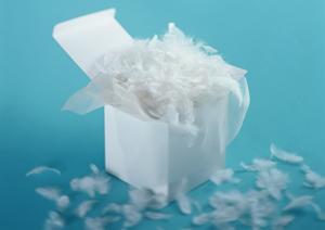 洋食店で活躍する洋陶器を販売する通販